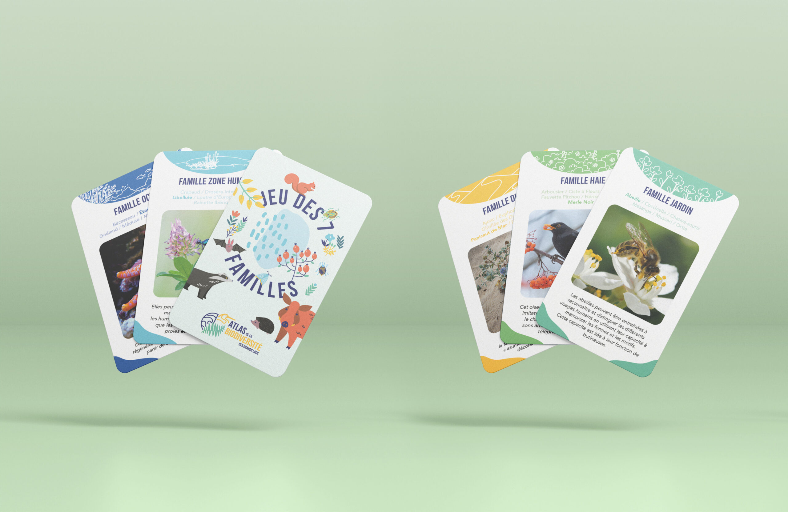 Présentation du Jeu de 7 familles - Communauté des Grands Lacs