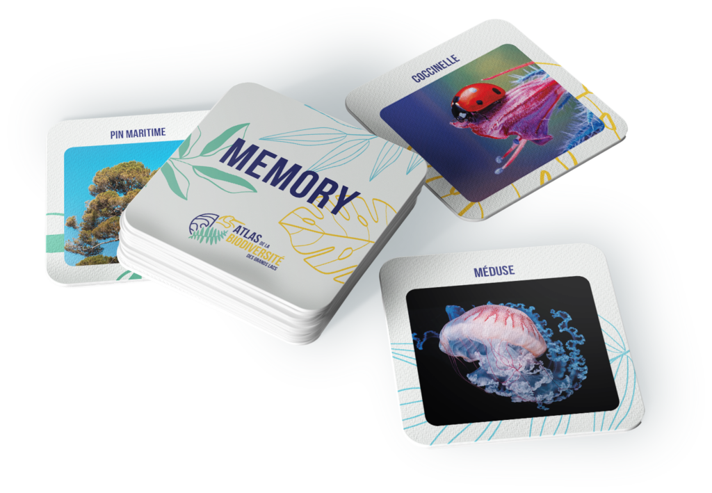 Présentation du jeu de Mémory - Communauté des Grands Lacs