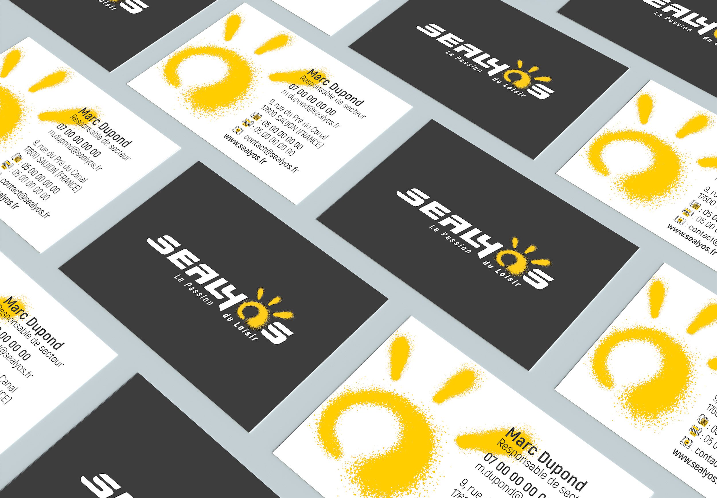 Visuels Papeterie Sealyos