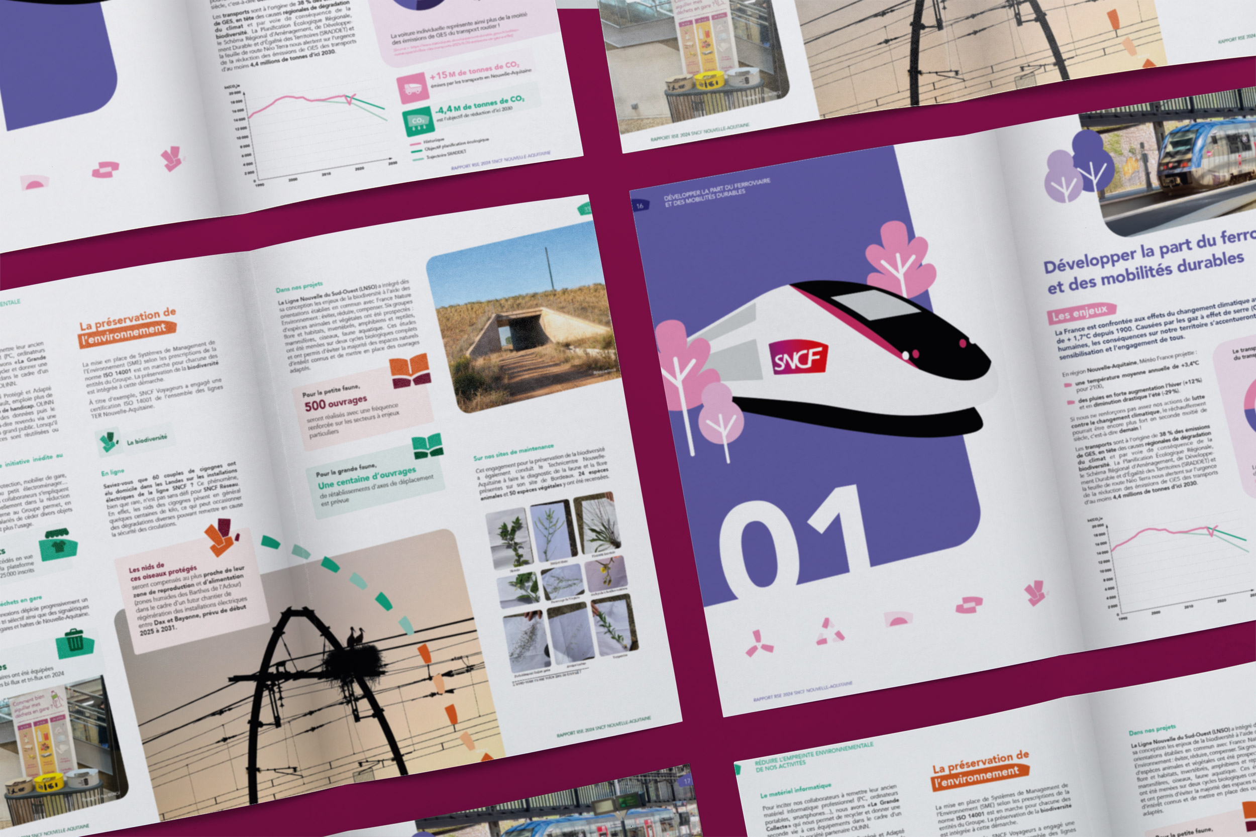 Présentation du rapport d'activité SNF 2024